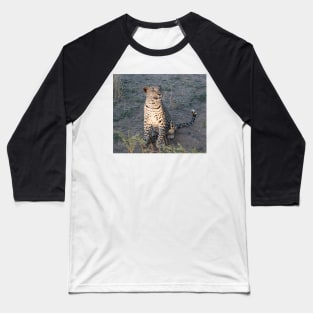 Watchful leopard cub Baseball T-Shirt